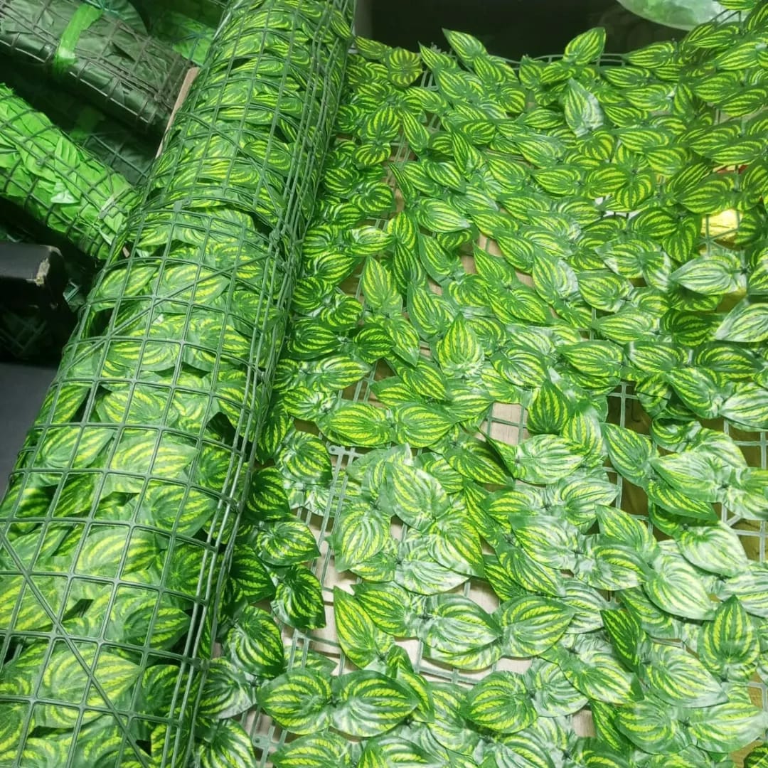 Privacy Fence Watermelon Leaves