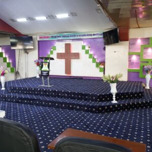 VIP Wall to Wall Carpet