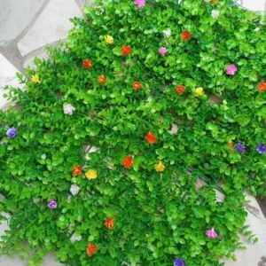 Artificial Boxwood Panels
