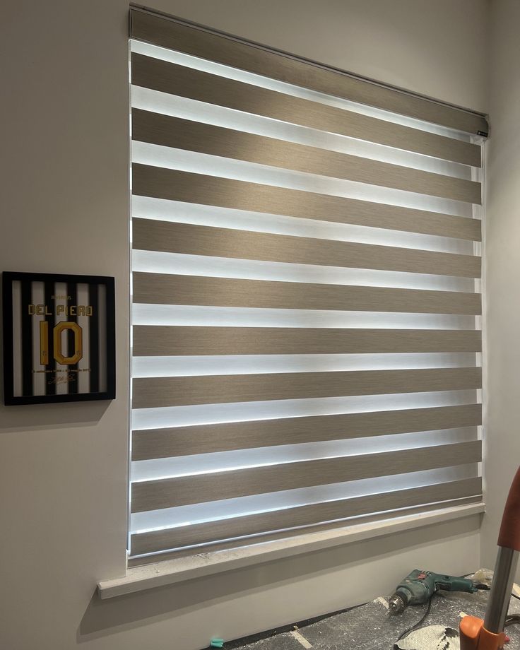 Zebra Blinds