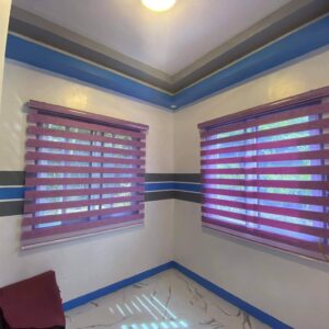 Office Horizontal Blinds
